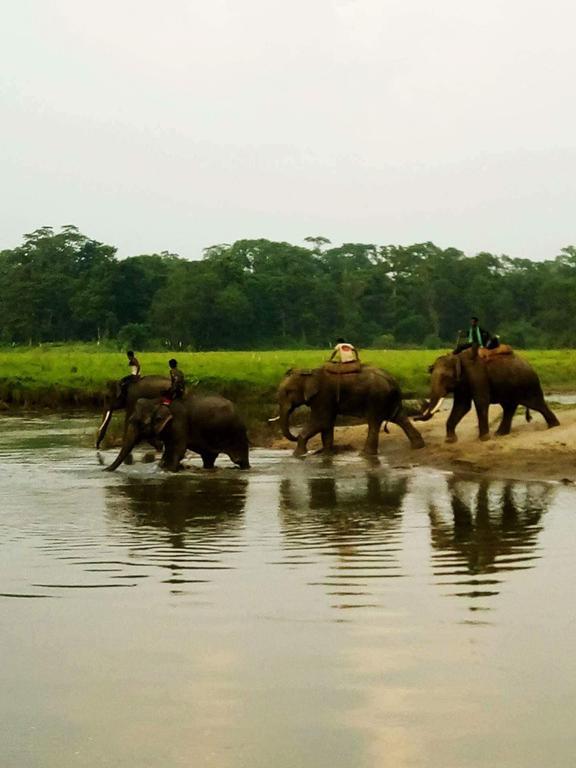 Unique Wild Resort Sauraha Exterior photo